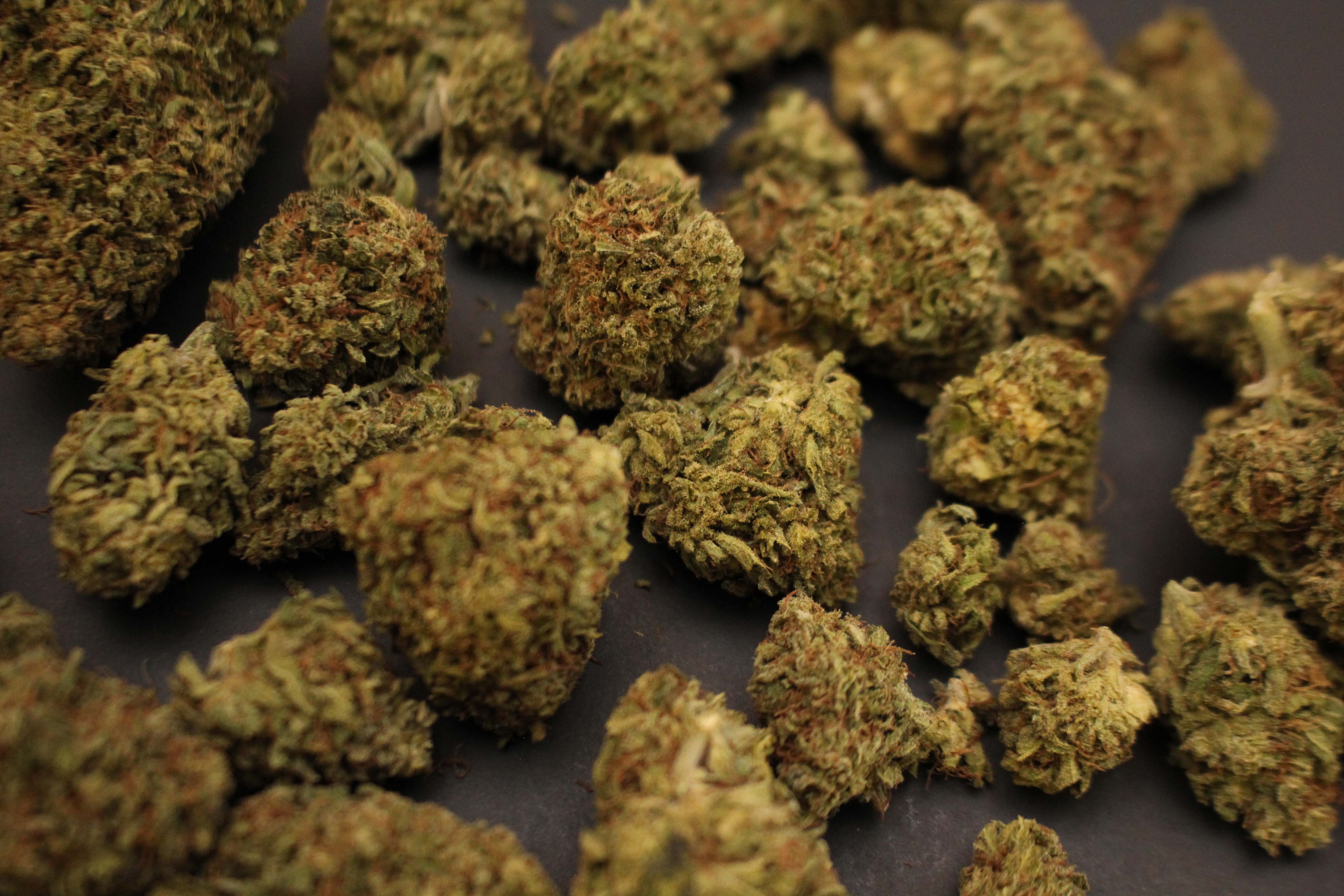 Cannabis Compressed