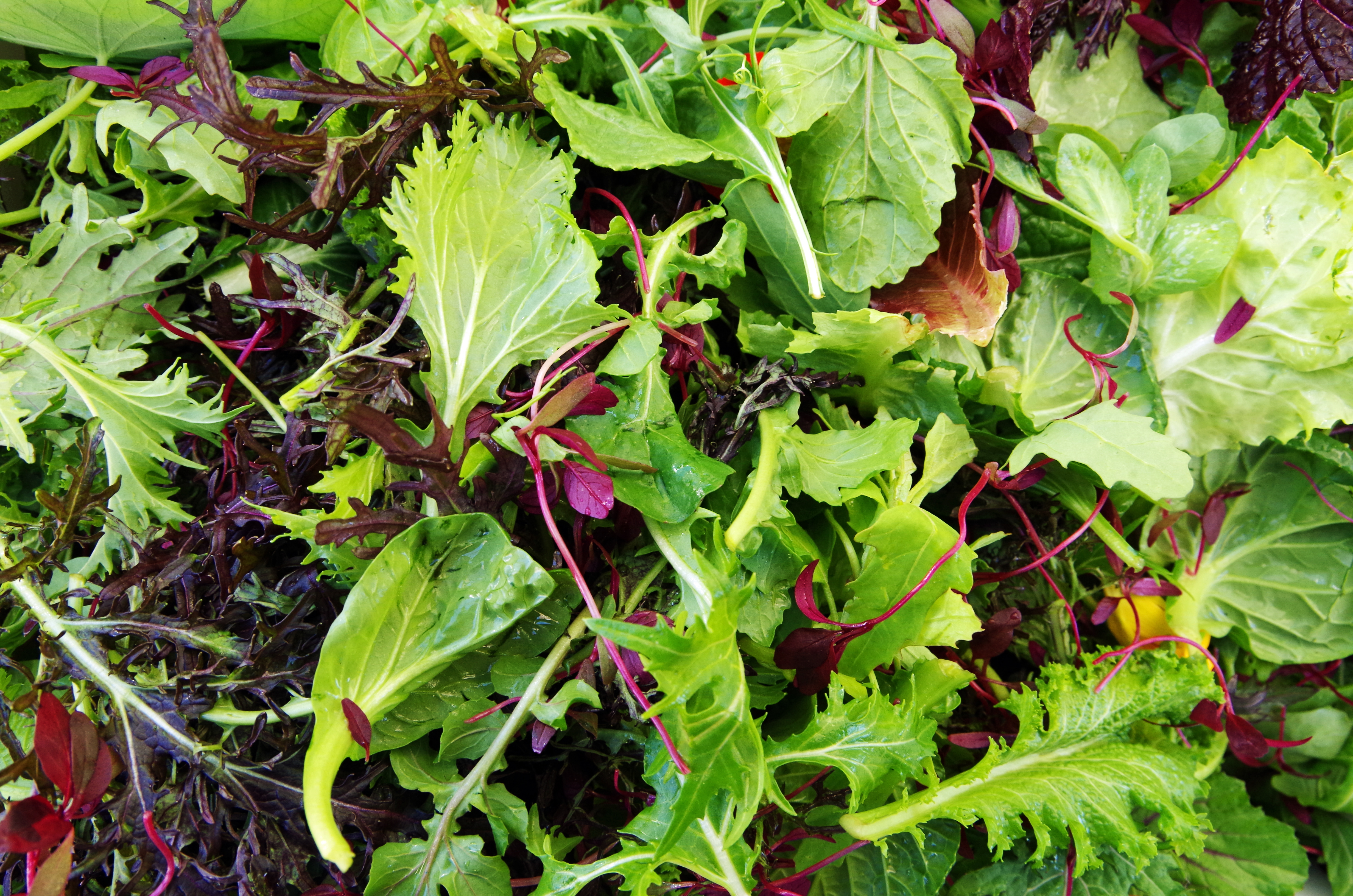 Salad main image