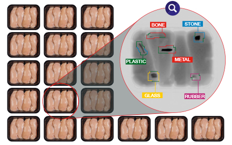 A3823 ISDA Landing Page Poultry 470X294 ENG