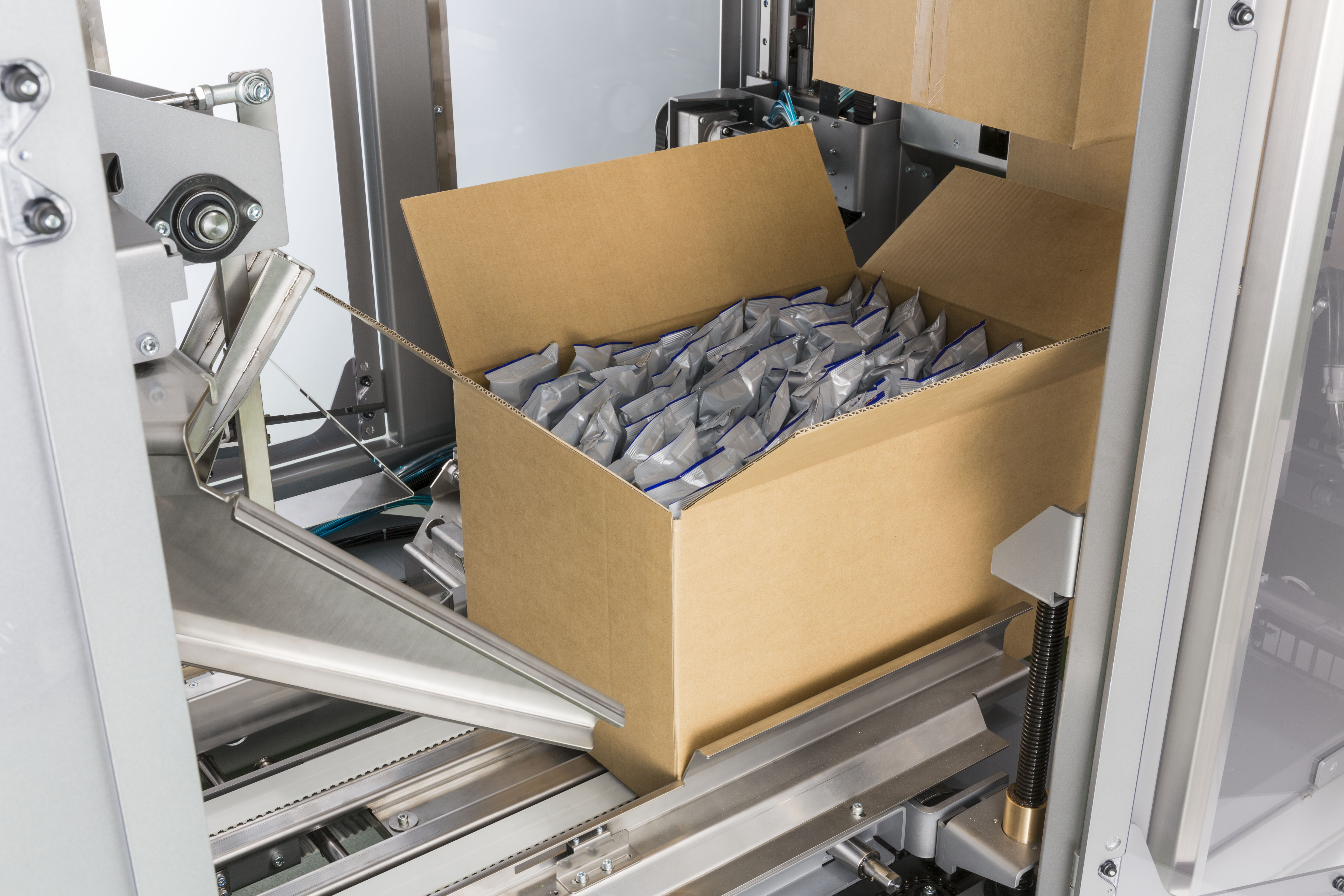 Ishida ACP-700 EOL Case Packing Solutions